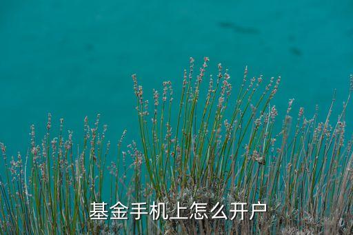  基金手機(jī)上怎么開戶