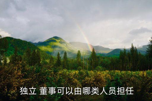  獨(dú)立 董事可以由哪類(lèi)人員擔(dān)任