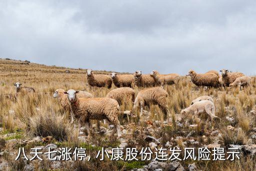 中國小康投資控股,中國電子投資控股