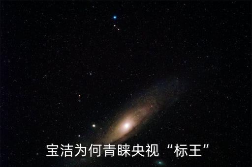 寶潔為何青睞央視“標王”