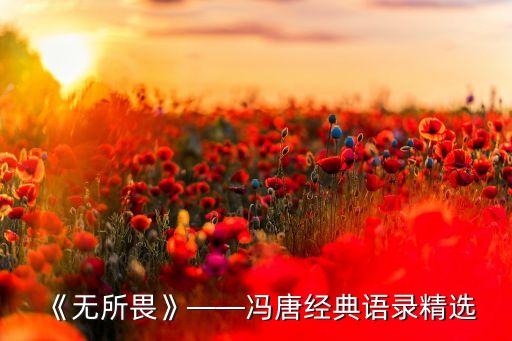 《無(wú)所畏》——馮唐經(jīng)典語(yǔ)錄精選