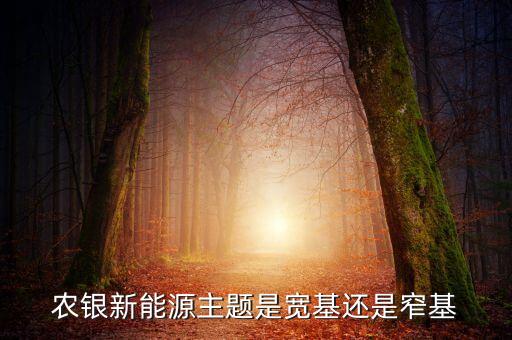 農銀新能源主題是寬基還是窄基
