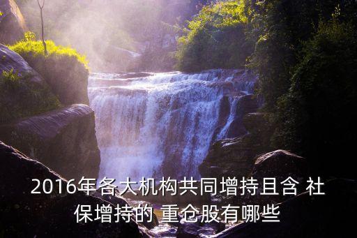 社保基金重倉股一覽,2023年社?；鹬貍}股