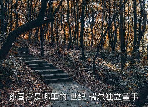 孫國富是哪里的 世紀(jì) 瑞爾獨立董事