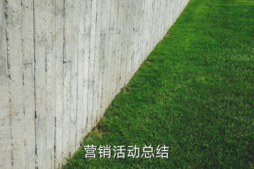 營(yíng)銷活動(dòng)總結(jié)