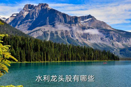 水利龍頭股有哪些