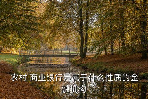  農(nóng)村 商業(yè)銀行是屬于什么性質(zhì)的金融機(jī)構(gòu)