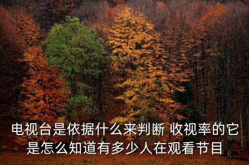 電視臺是依據什么來判斷 收視率的它是怎么知道有多少人在觀看節(jié)目