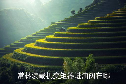  常林裝載機(jī)變矩器進(jìn)油閥在哪