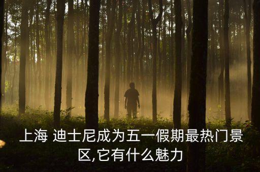 上海迪士尼評(píng)論,迪士尼評(píng)論語句