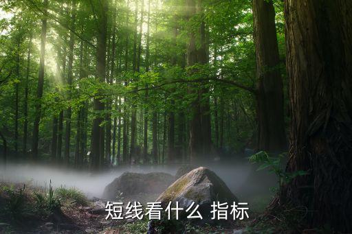 短線(xiàn)股票最好指標(biāo),股票短線(xiàn)看什么指標(biāo)更有效