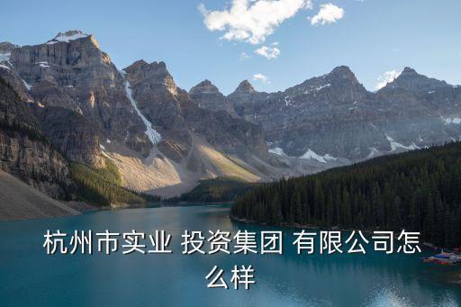  杭州市實業(yè) 投資集團(tuán) 有限公司怎么樣