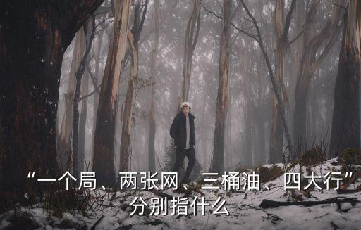 “一個(gè)局、兩張網(wǎng)、三桶油、四大行”分別指什么