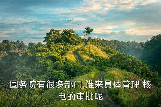 國(guó)務(wù)院有很多部門(mén),誰(shuí)來(lái)具體管理 核電的審批呢