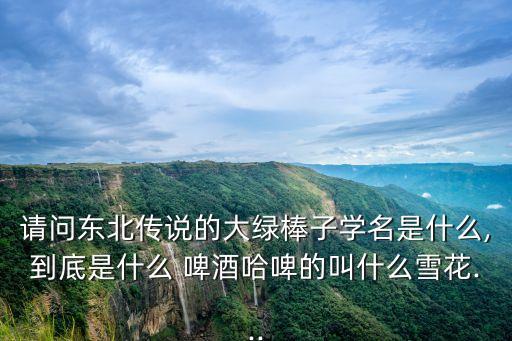 請(qǐng)問東北傳說的大綠棒子學(xué)名是什么,到底是什么 啤酒哈啤的叫什么雪花...