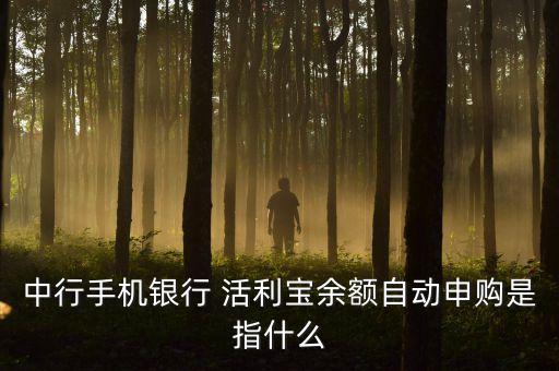 中行手機(jī)銀行 活利寶余額自動(dòng)申購(gòu)是指什么