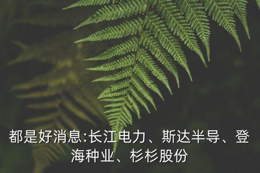 都是好消息:長(zhǎng)江電力、斯達(dá)半導(dǎo)、登海種業(yè)、杉杉股份