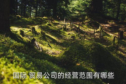  國際 貿易公司的經營范圍有哪些
