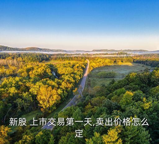 深市股票上市首日競價規(guī)定