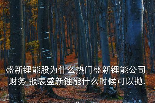上海致遠(yuǎn)綠色能源公司財(cái)務(wù)報表