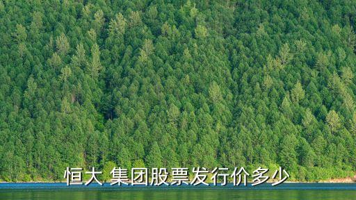 百大集團(tuán)財務(wù)戰(zhàn)略
