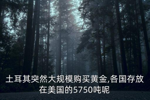 土耳其突然大規(guī)模購(gòu)買(mǎi)黃金,各國(guó)存放在美國(guó)的5750噸呢