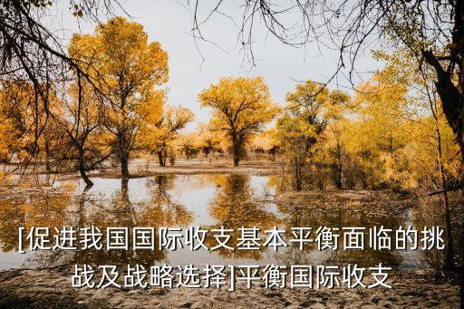 [促進我國國際收支基本平衡面臨的挑戰(zhàn)及戰(zhàn)略選擇]平衡國際收支