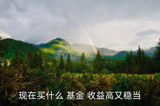 現(xiàn)在買什么 基金 收益高又穩(wěn)當