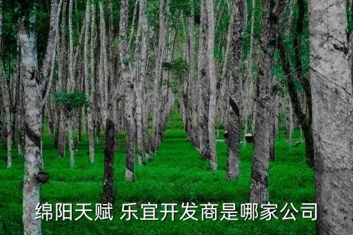 綿陽(yáng)天賦 樂(lè)宜開(kāi)發(fā)商是哪家公司