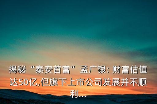 億元財(cái)富集團(tuán),中國(guó)財(cái)富傳媒集團(tuán)