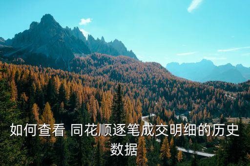 如何查看 同花順逐筆成交明細的歷史數(shù)據(jù)
