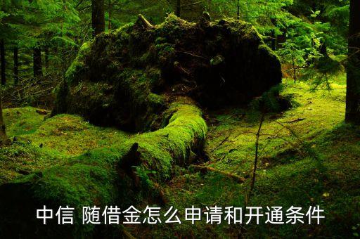 中信 隨借金怎么申請(qǐng)和開(kāi)通條件