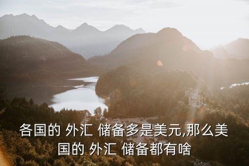 2013年中國外匯儲(chǔ)備數(shù)據(jù)