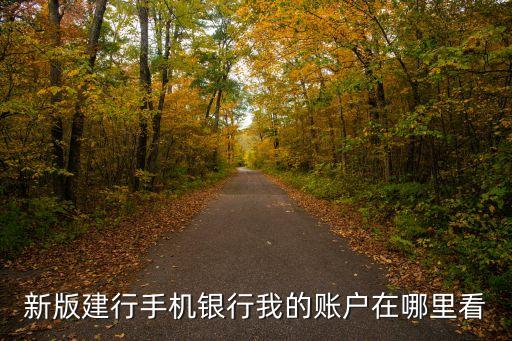 新版建行手機(jī)銀行我的賬戶在哪里看
