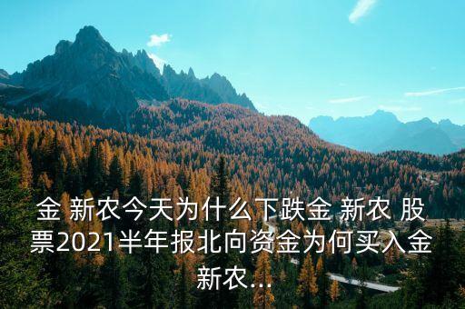 金 新農(nóng)今天為什么下跌金 新農(nóng) 股票2021半年報北向資金為何買入金 新農(nóng)...