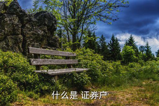 什么是 證券戶(hù)