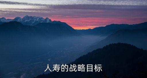 中國人壽的戰(zhàn)略目標(biāo)