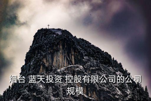 煙臺 藍(lán)天投資 控股有限公司的公司規(guī)模
