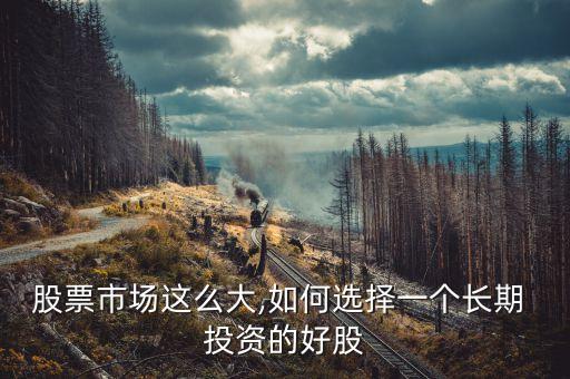 股票市場這么大,如何選擇一個(gè)長期 投資的好股