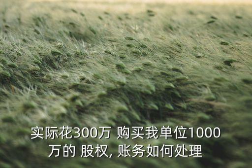 實際花300萬 購買我單位1000萬的 股權(quán), 賬務如何處理