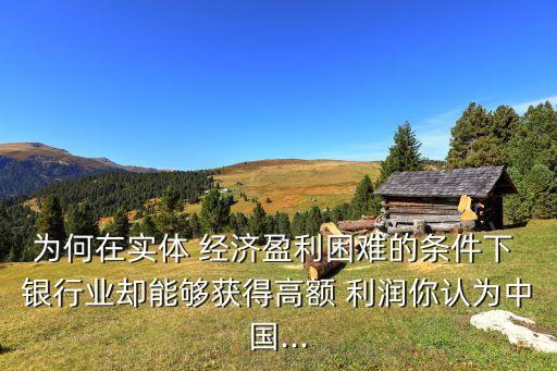 為何在實(shí)體 經(jīng)濟(jì)盈利困難的條件下 銀行業(yè)卻能夠獲得高額 利潤你認(rèn)為中國...