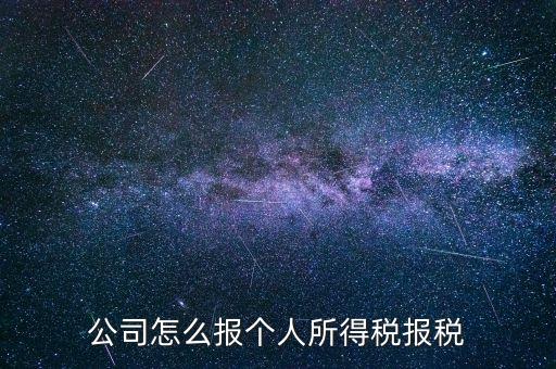 公司怎么報個人所得稅報稅