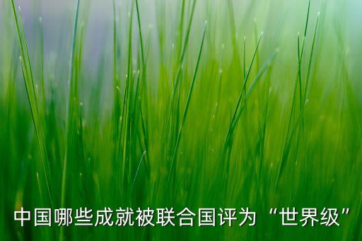 中國(guó)哪些成就被聯(lián)合國(guó)評(píng)為“世界級(jí)”