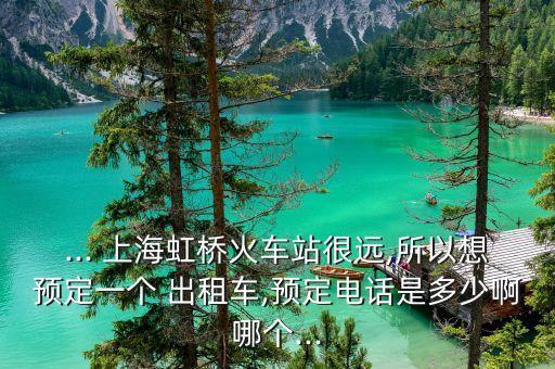 ... 上海虹橋火車站很遠(yuǎn),所以想預(yù)定一個(gè) 出租車,預(yù)定電話是多少啊哪個(gè)...