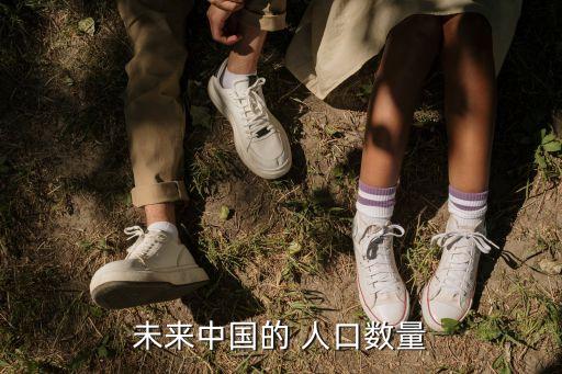 未來(lái)中國(guó)的 人口數(shù)量