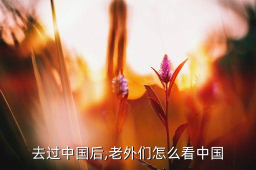 國(guó)外對(duì)中國(guó)發(fā)展的看法,國(guó)外如何看待中國(guó)發(fā)展