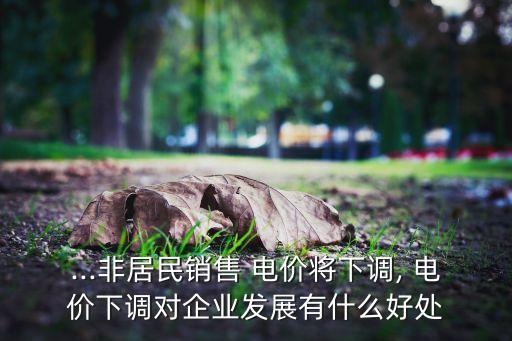...非居民銷(xiāo)售 電價(jià)將下調(diào), 電價(jià)下調(diào)對(duì)企業(yè)發(fā)展有什么好處