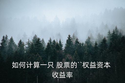 如何計算一只 股票的``權(quán)益資本 收益率