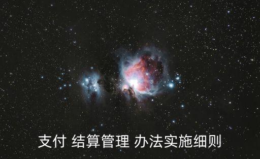 支付 結算管理 辦法實施細則
