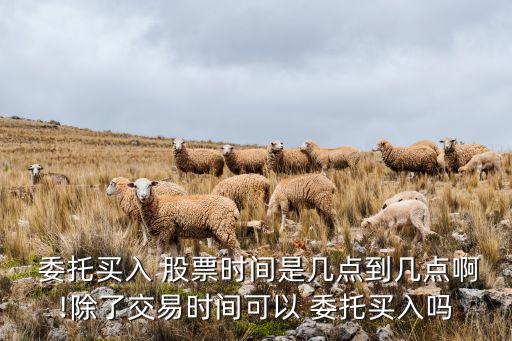  委托買入 股票時間是幾點(diǎn)到幾點(diǎn)啊!除了交易時間可以 委托買入嗎